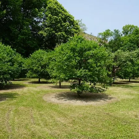 Du Pont De Table Jacuzzi Et Montagne Casa vacanze Barrême