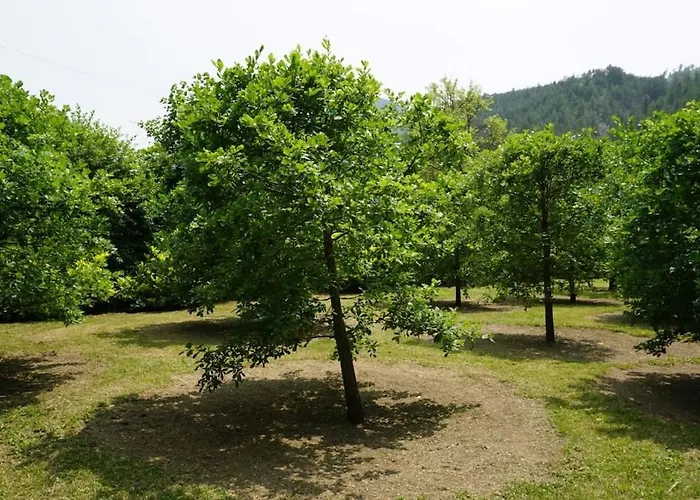 Du Pont De Table Jacuzzi Et Montagne Holiday home Barreme